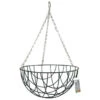 Green Jem Hanging Basket 16” 2 Green Jem Hanging Basket 16” -Mxwhole Sale 5034537000832