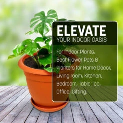 STL Plant Pot With Tray No 13 8 STL Plant Pot With Tray No 13 -Mxwhole Sale 5055521814303