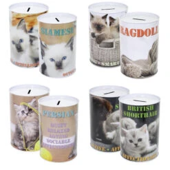 Cat Design Money Tin